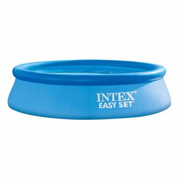 4. Intex Easy Set Up Inflatable pool, 10 ft Diameter x 30 Inch height