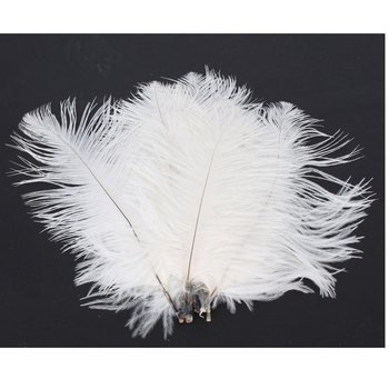 10 50 x White Ostrich Feathers (15-20 CM)
