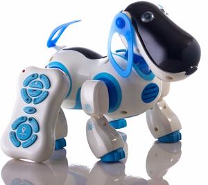 #13 Durherm Smart Storytelling Robot Dog