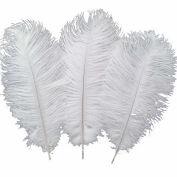 4 Sowder 10pcs Ostrich Feathers 12-14inch(30-35cm) for Home Wedding Decoration(White)