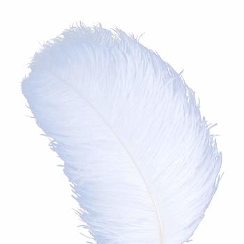 9 AWAYTR 10pcs Natural Ostrich Feathers for Wedding Centerpieces Home Decoration 