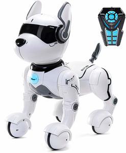 #9 Remote Control Robot Dog Toy