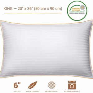 #3. CALM NITE Pillow Protector 2 Pack 