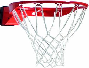 #8. Spalding Arena Slam Basketball Rim