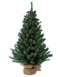 3. Mini Christmas Tree Kurt Adler 12 Miniature Pine Tree