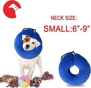#10 Laboratory 29 Inflatable Dog Collar