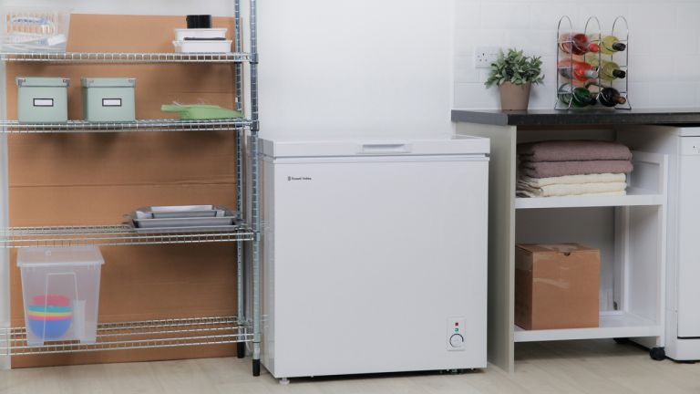 Top 10 Best Chest Freezers In 2023 Reviews – Buyers Guide