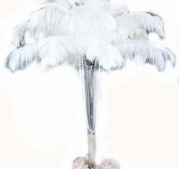 11 Ostrich Feathers 100 Pcs. White Tail Ostrich Feather Plumes 14 to 18 inches Long. U.S.A. 