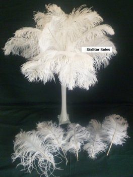 6 Special 7 Day Sale-Ostrich Wholesale Bulk 13-16 long~Bleach White DELUXE Tail Feathers- 100 in package.