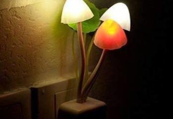 Best Night Lamps