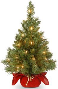 1. National Tree 24 Inch Majestic Fir Christmas Tree