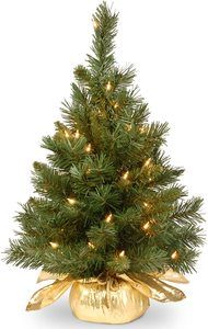 5. National Tree 24 Inch Majestic Fir Tree - Mini Christmas Trees