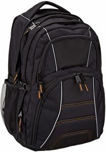 6. Amazon Basics Laptop Computer Backpack