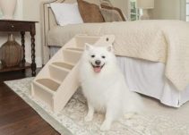 Top 10 Best Dog Stairs for Beds in 2023 Reviews