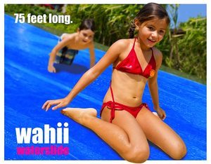 3. Wahii WaterSlide 75' x 12'