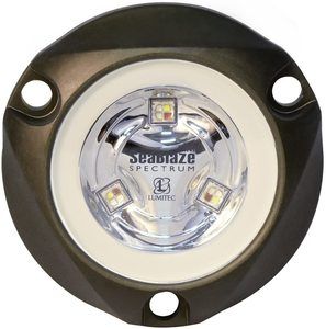 10. Lumitec 101436 SeaBlazeX LED Underwater Boat Light