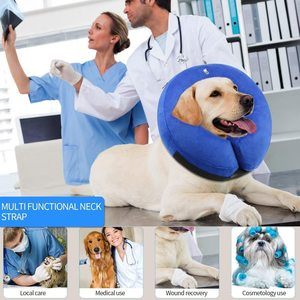 #1 Inflatable Dog Collar