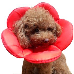 Top 10 Best Inflatable Dogs Collars in 2022 Reviews Pet Supplies