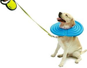 Top 10 Best Inflatable Dogs Collars in 2023 Reviews