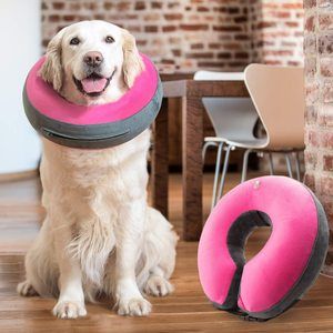 #7 GoodBoy Comfortable Recovery E-Collar