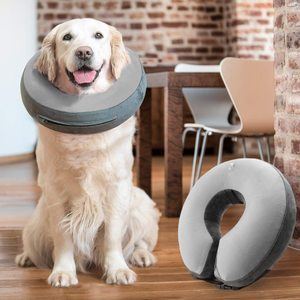 #8 GoodBoy Recovery E-Collar