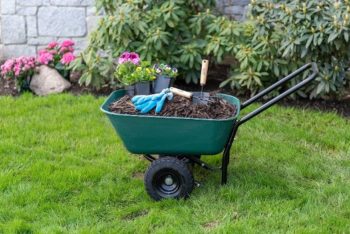 2. Garden Star 70019 Garden Barrow Dual-Wheel Wheelbarrow