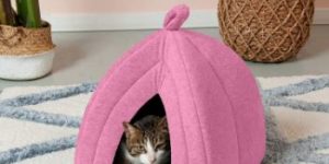 7. Furhaven Pet - ThermaNAP Self-Warming Quilted Blanket Mat