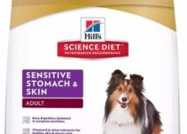 Top 7 Best Hypoallergenic Dog Foods In 2023 Review