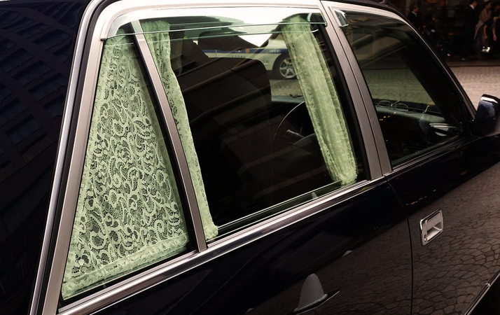 Car Window Curtains for Privacy